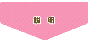 説明